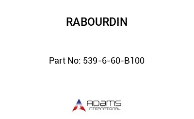 539-6-60-B100