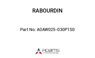A0AW025-030P1S0
