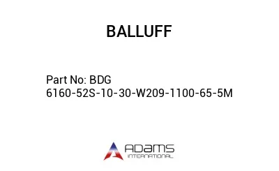 BDG 6160-52S-10-30-W209-1100-65-5M									