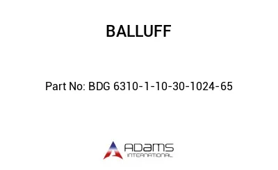 BDG 6310-1-10-30-1024-65									