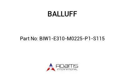 BIW1-E310-M0225-P1-S115									