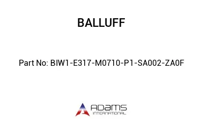 BIW1-E317-M0710-P1-SA002-ZA0F									