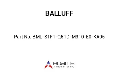 BML-S1F1-Q61D-M310-E0-KA05									